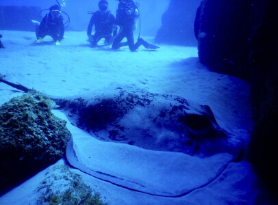 秋ダイビング＆海水浴