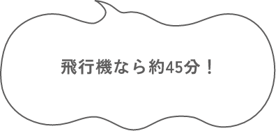 ジェット船なら 約3時間45分！
