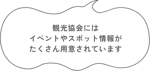 海辺でイルカがお出迎え 運がよければ見られるかも？