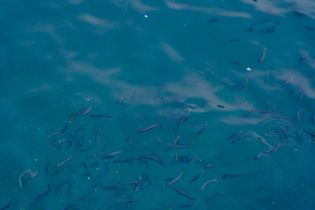 神津島の風景18