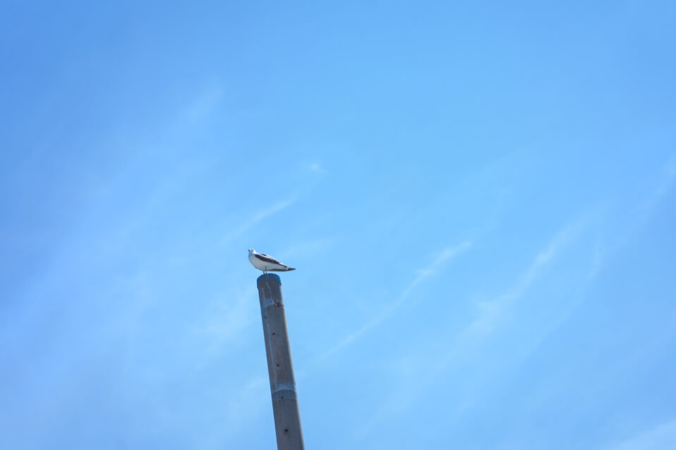 神津島の風景24