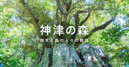 「神津の森」サイトへ移動します