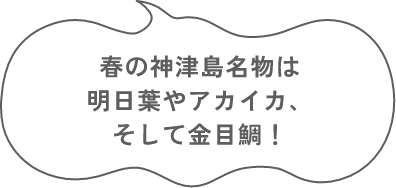 春の神津島名物は 明日葉やアカイカ、 そして金目鯛！