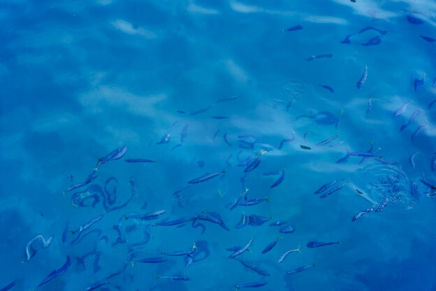 神津島の風景18